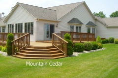 Mountain Cedar
